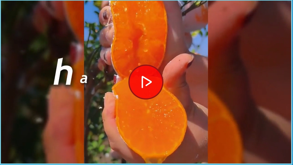 How Citrus Peels Use For Weight Loss